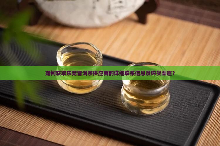 如何获取东莞普洱茶供应商的详细联系信息及购买渠道？