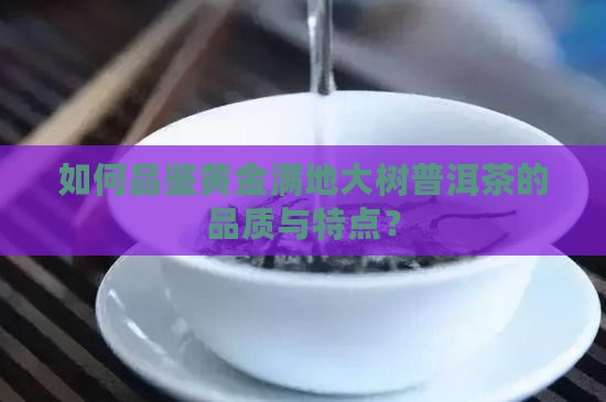 如何品鉴黄金满地大树普洱茶的品质与特点？