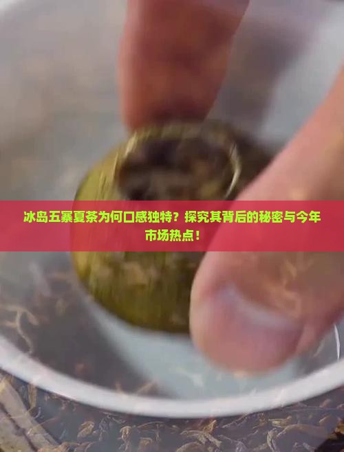 冰岛五寨夏茶为何口感独特？探究其背后的秘密与今年市场热点！