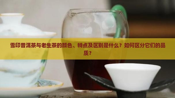 雪印普洱茶与老生茶的颜色、特点及区别是什么？如何区分它们的品质？
