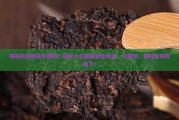 喝茶影响新陈代谢吗？现代人必备的养生热词，代谢慢、身材走样有救了！