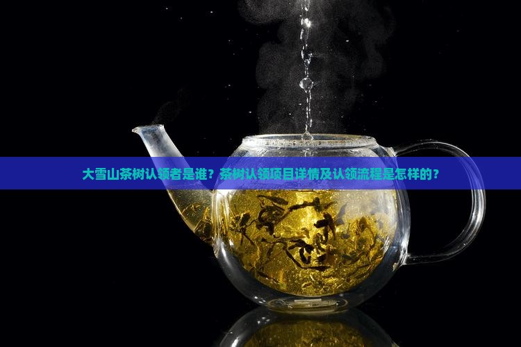 大雪山茶树认领者是谁？茶树认领项目详情及认领流程是怎样的？