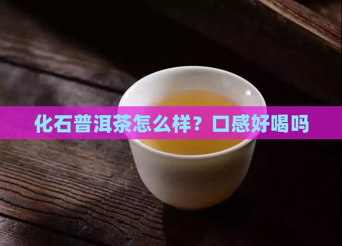 化石普洱茶怎么样？口感好喝吗