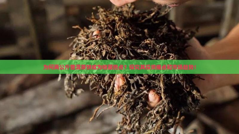 为何两公斤普洱茶饼成为收藏热点？探究其投资痛点和市场趋势！