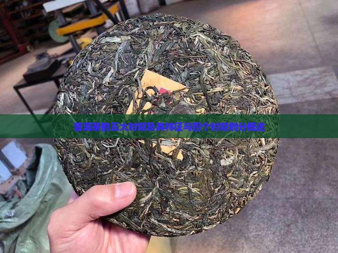普洱茶的五大时期及其特征与四个时期划分概述