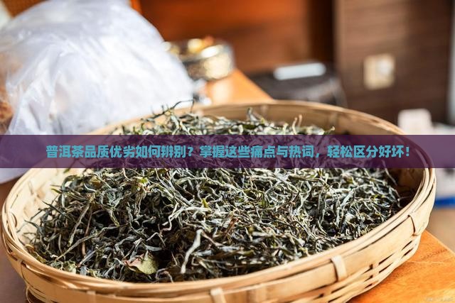 普洱茶品质优劣如何辨别？掌握这些痛点与热词，轻松区分好坏！