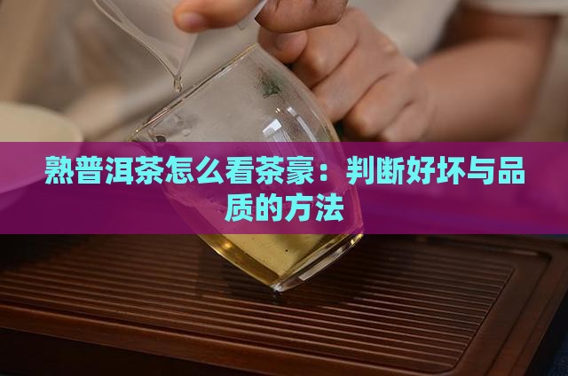 熟普洱茶怎么看茶豪：判断好坏与品质的方法