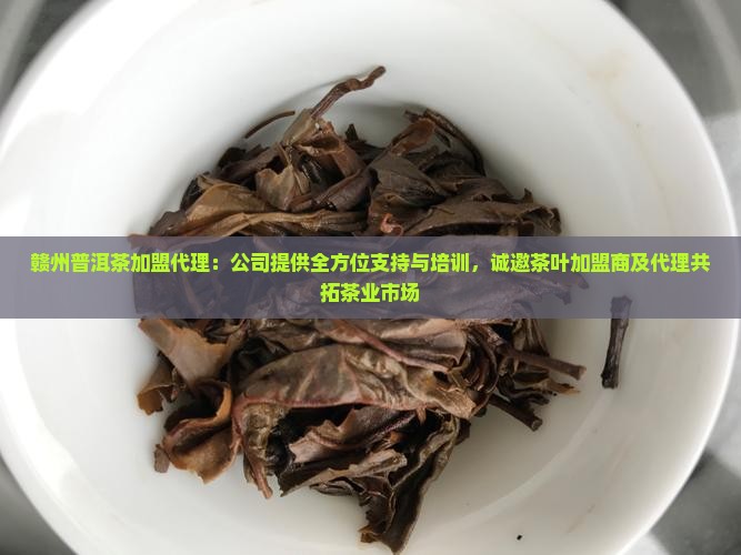 赣州普洱茶加盟代理：公司提供全方位支持与培训，诚邀茶叶加盟商及代理共拓茶业市场