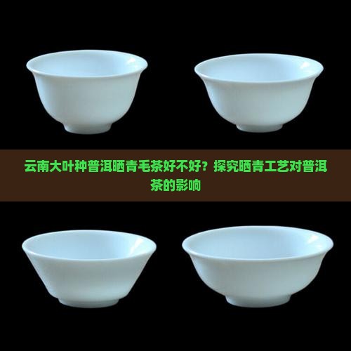 云南大叶种普洱晒青毛茶好不好？探究晒青工艺对普洱茶的影响