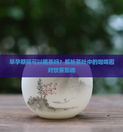 早孕期间可以喝茶吗？解析茶叶中的咖啡因对饮茶影响