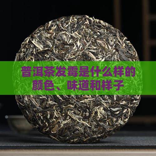 普洱茶发霉是什么样的颜色、味道和样子
