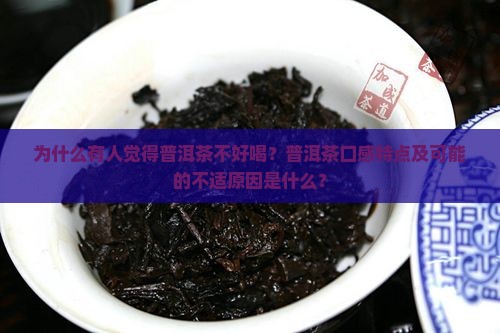 为什么有人觉得普洱茶不好喝？普洱茶口感特点及可能的不适原因是什么？