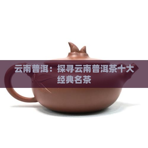 云南普洱：探寻云南普洱茶十大经典名茶