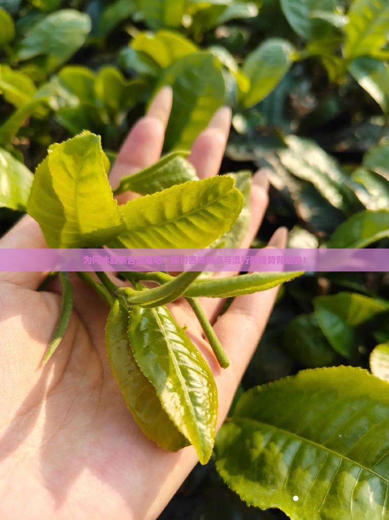 为何冰岛茶苦涩难咽？探讨苦味痛点与流行新趋势背后的！