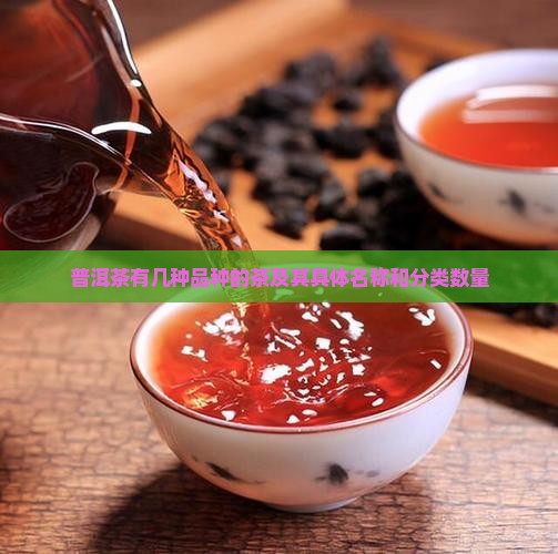 普洱茶有几种品种的茶及其具体名称和分类数量