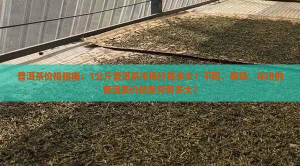 普洱茶价格指南：1公斤普洱茶市场价是多少？不同、等级、年份的普洱茶价格差异有多大？