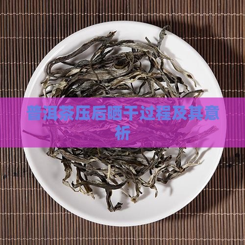 普洱茶压后晒干过程及其意析