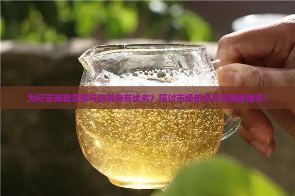 为何云南普洱茶与白茶各有优劣?探讨市场热点与消费者痛点! 为何云南普洱茶与白茶各有优劣?探讨市场热点与消费者痛点!