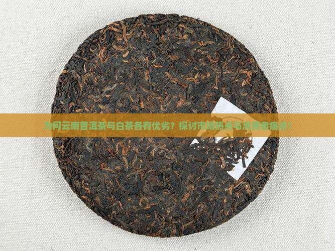 为何云南普洱茶与白茶各有优劣?探讨市场热点与消费者痛点! 为何云南普洱茶与白茶各有优劣?探讨市场热点与消费者痛点!