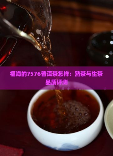 福海的7576普洱茶怎样：熟茶与生茶品质评测