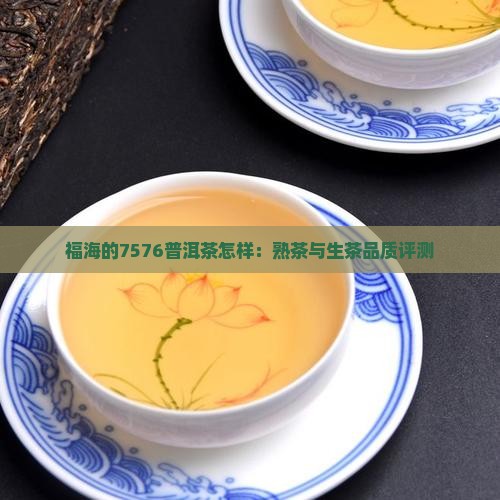 福海的7576普洱茶怎样：熟茶与生茶品质评测