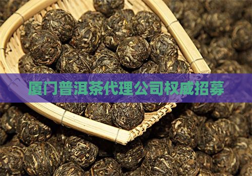 厦门普洱茶代理公司权威招募