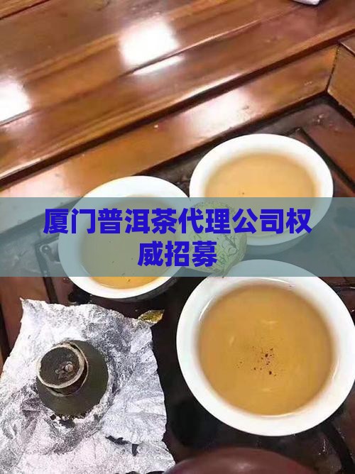 厦门普洱茶代理公司权威招募