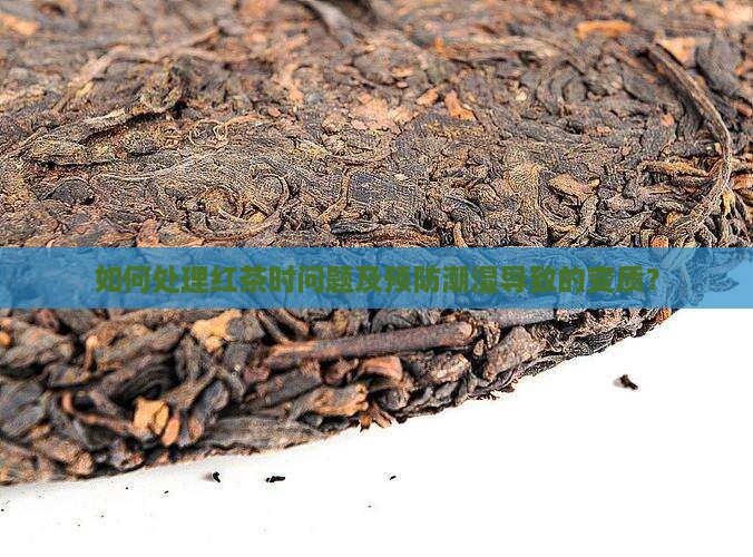 如何处理红茶时问题及预防潮湿导致的变质？