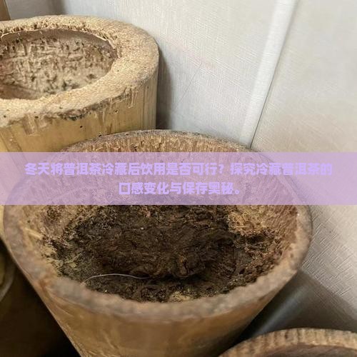 冬天将普洱茶冷藏后饮用是否可行？探究冷藏普洱茶的口感变化与保存奥秘。