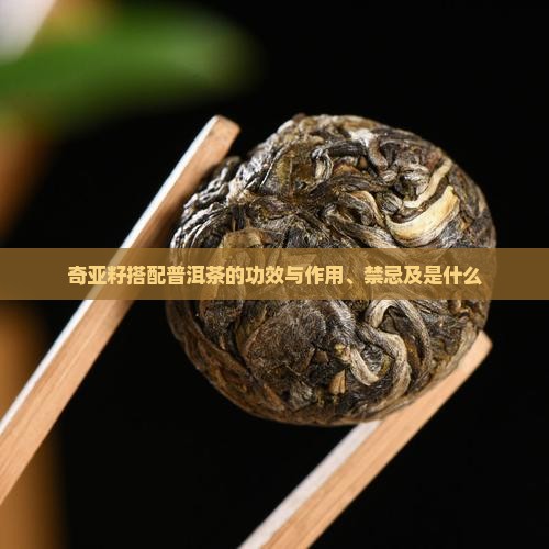 奇亚籽搭配普洱茶的功效与作用、禁忌及是什么