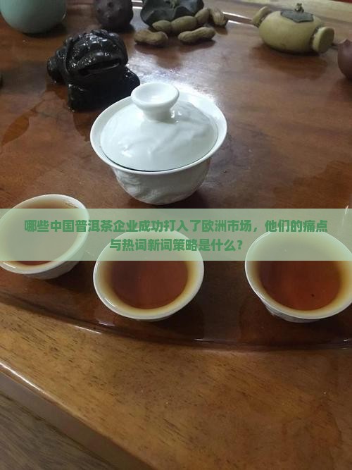 哪些中国普洱茶企业成功打入了欧洲市场，他们的痛点与热词新词策略是什么？