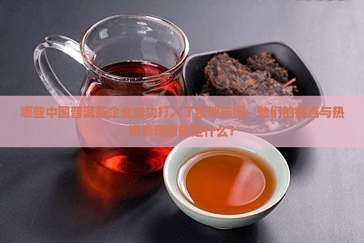 哪些中国普洱茶企业成功打入了欧洲市场，他们的痛点与热词新词策略是什么？