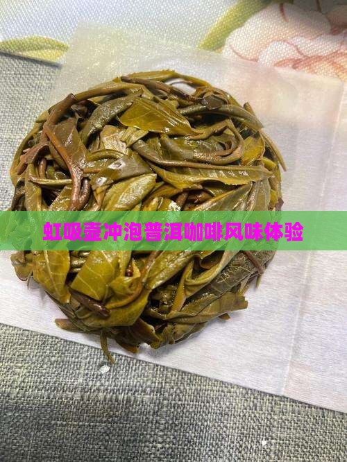虹吸壶冲泡普洱咖啡风味体验