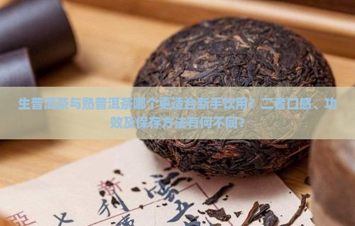 生普洱茶与熟普洱茶哪个更适合新手饮用？二者口感、功效及保存方法有何不同？
