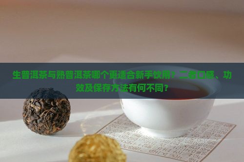生普洱茶与熟普洱茶哪个更适合新手饮用？二者口感、功效及保存方法有何不同？