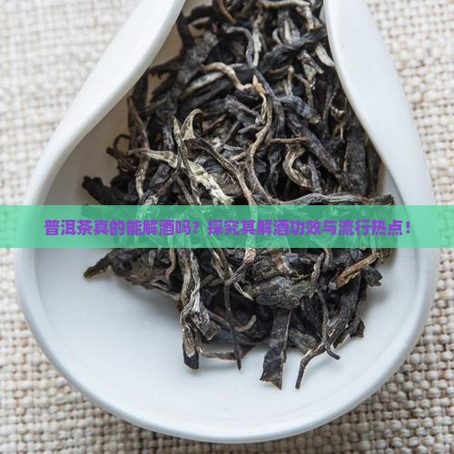 普洱茶真的能解酒吗？探究其解酒功效与流行热点！