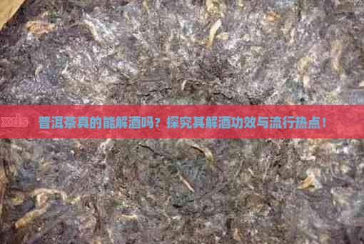 普洱茶真的能解酒吗？探究其解酒功效与流行热点！