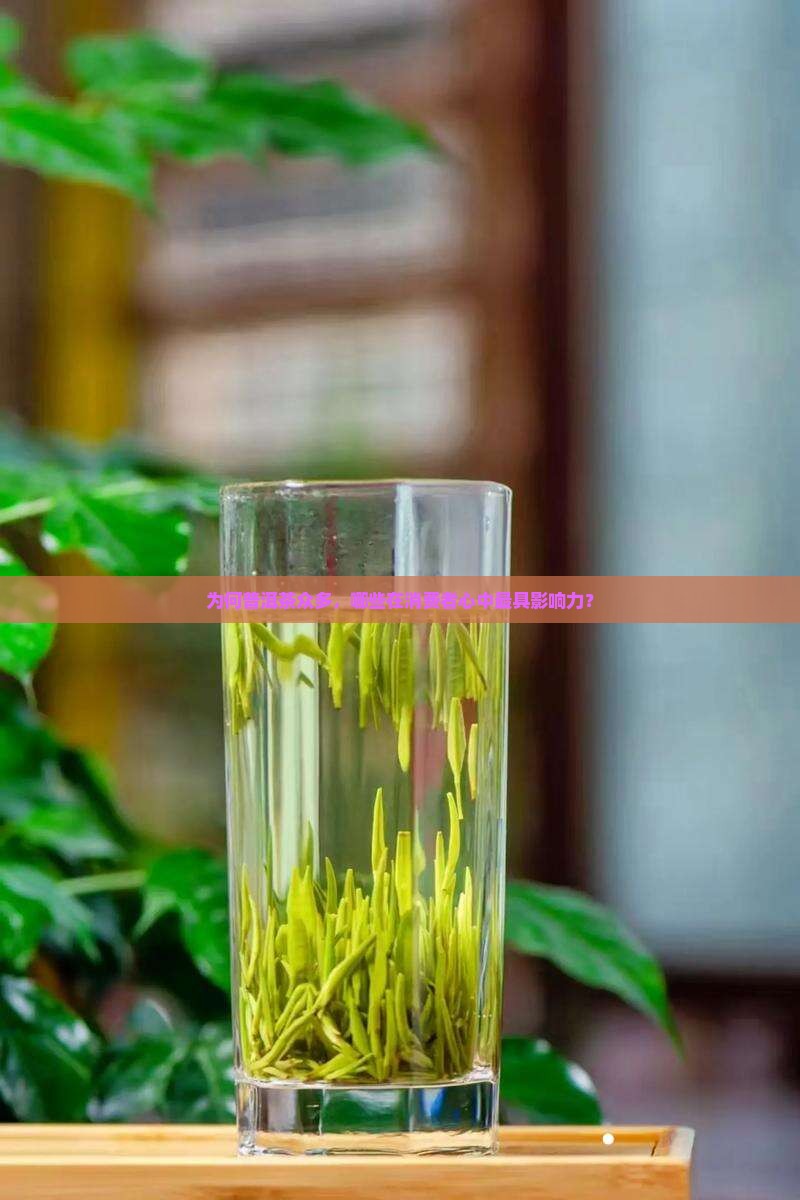 为何普洱茶众多，哪些在消费者心中最具影响力？