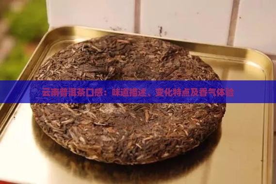 云南普洱茶口感：味道描述、变化特点及香气体验