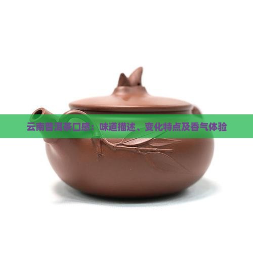 云南普洱茶口感：味道描述、变化特点及香气体验