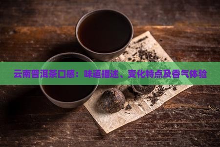 云南普洱茶口感：味道描述、变化特点及香气体验