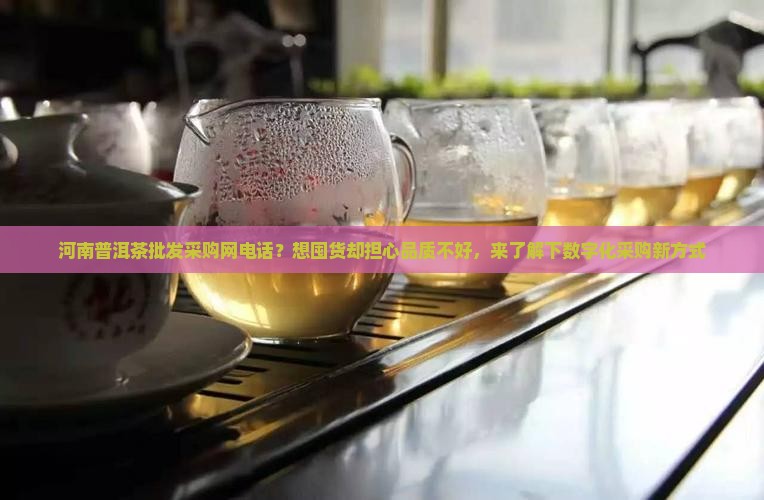 河南普洱茶批发采购网电话？想囤货却担心品质不好，来了解下数字化采购新方式
