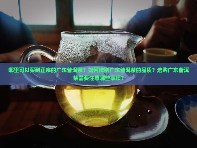 哪里可以买到正宗的广东普洱茶？如何辨别广东普洱茶的品质？选购广东普洱茶需要注意哪些事项？