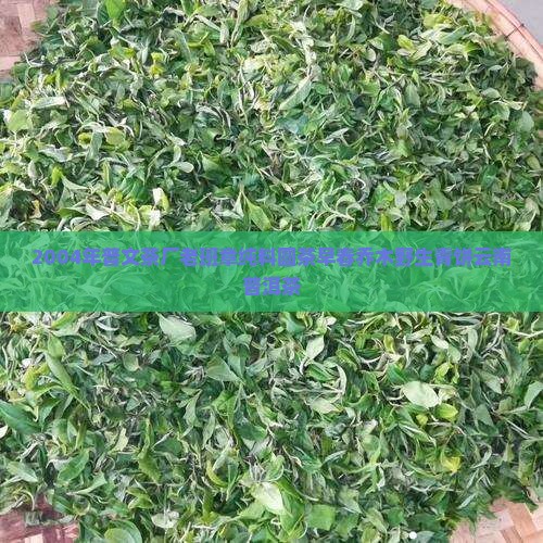 2004年普文茶厂老班章纯料圆茶早春乔木野生青饼云南普洱茶