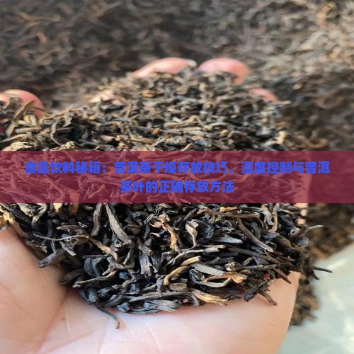 食品饮料秘籍：普洱茶干燥存放技巧，湿度控制与普洱茶叶的正确存放方法