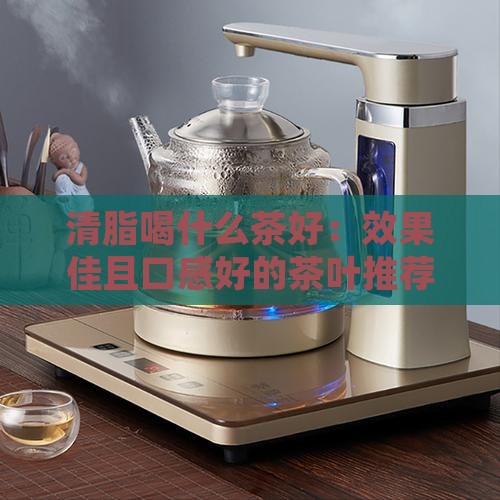 清脂喝什么茶好：效果佳且口感好的茶叶推荐