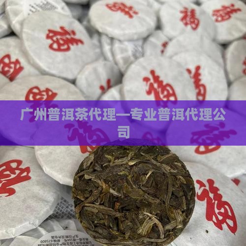 广州普洱茶代理—专业普洱代理公司