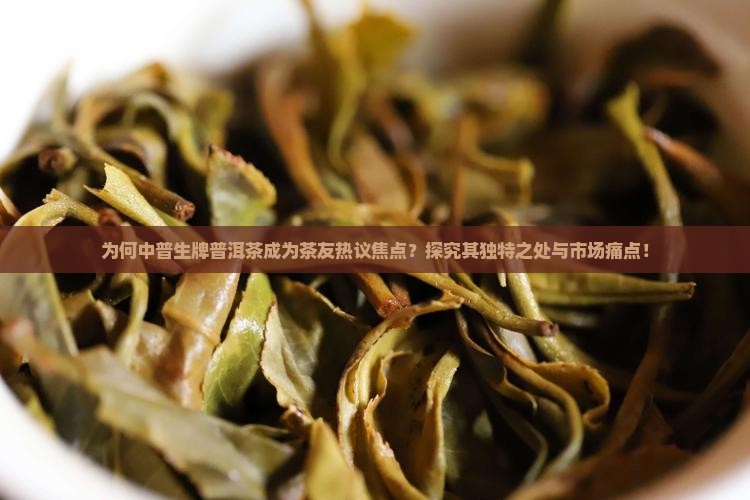为何中普生牌普洱茶成为茶友热议焦点？探究其独特之处与市场痛点！