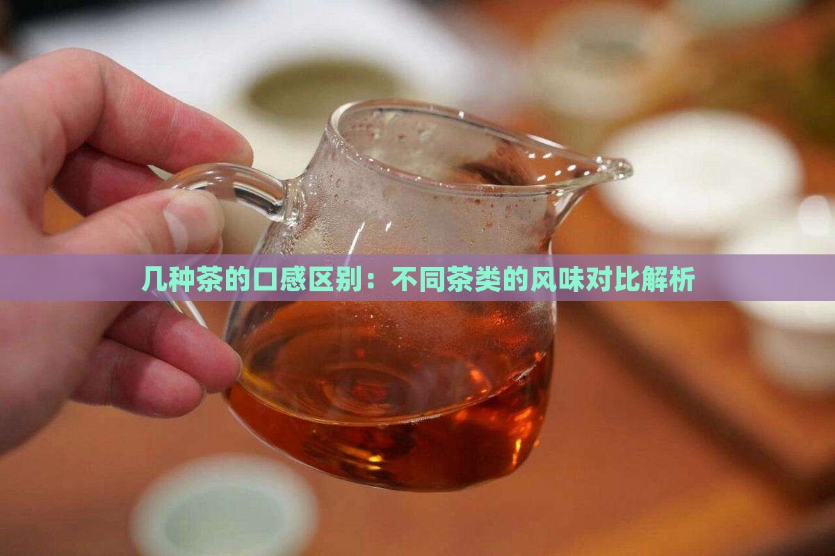 几种茶的口感区别：不同茶类的风味对比解析