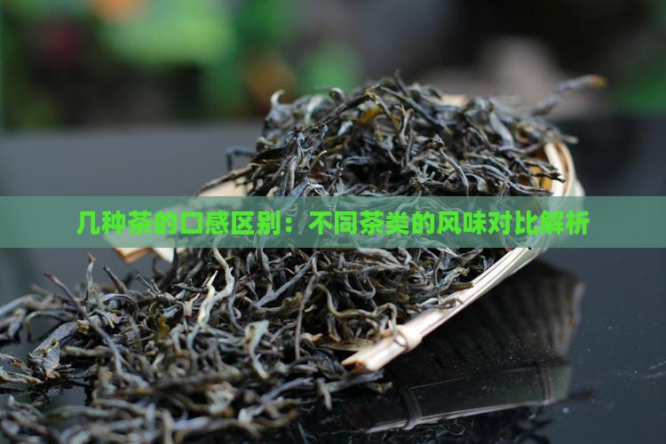 几种茶的口感区别：不同茶类的风味对比解析